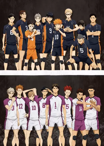 Haikyuu!!: Karasuno Koukou vs. Shiratorizawa Gakuen Koukou