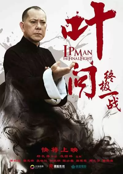 Ip Man: The Final Fight 2013